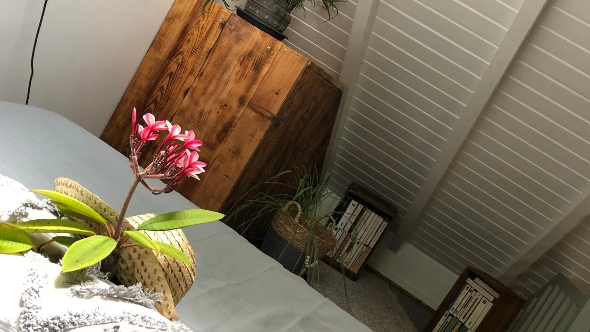 Le Jasmin De Nuit Chalet , Spa Privatif Les Abymes 0*,